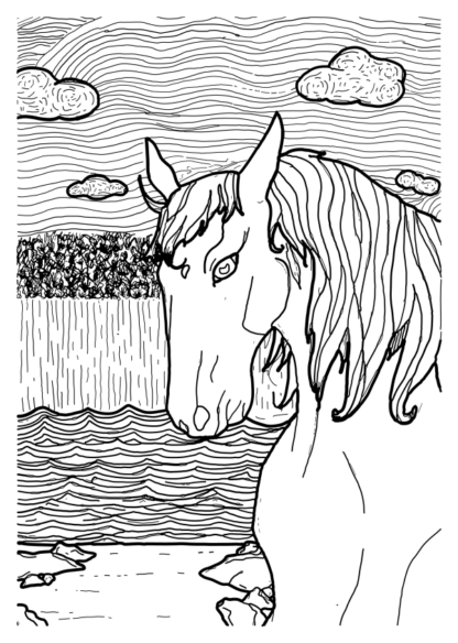 Caithness Doodles ··· Colouring Book - Image 5
