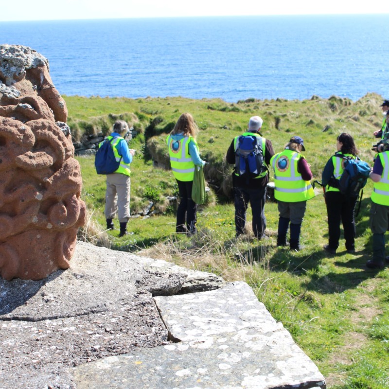 Nybster broch and carving