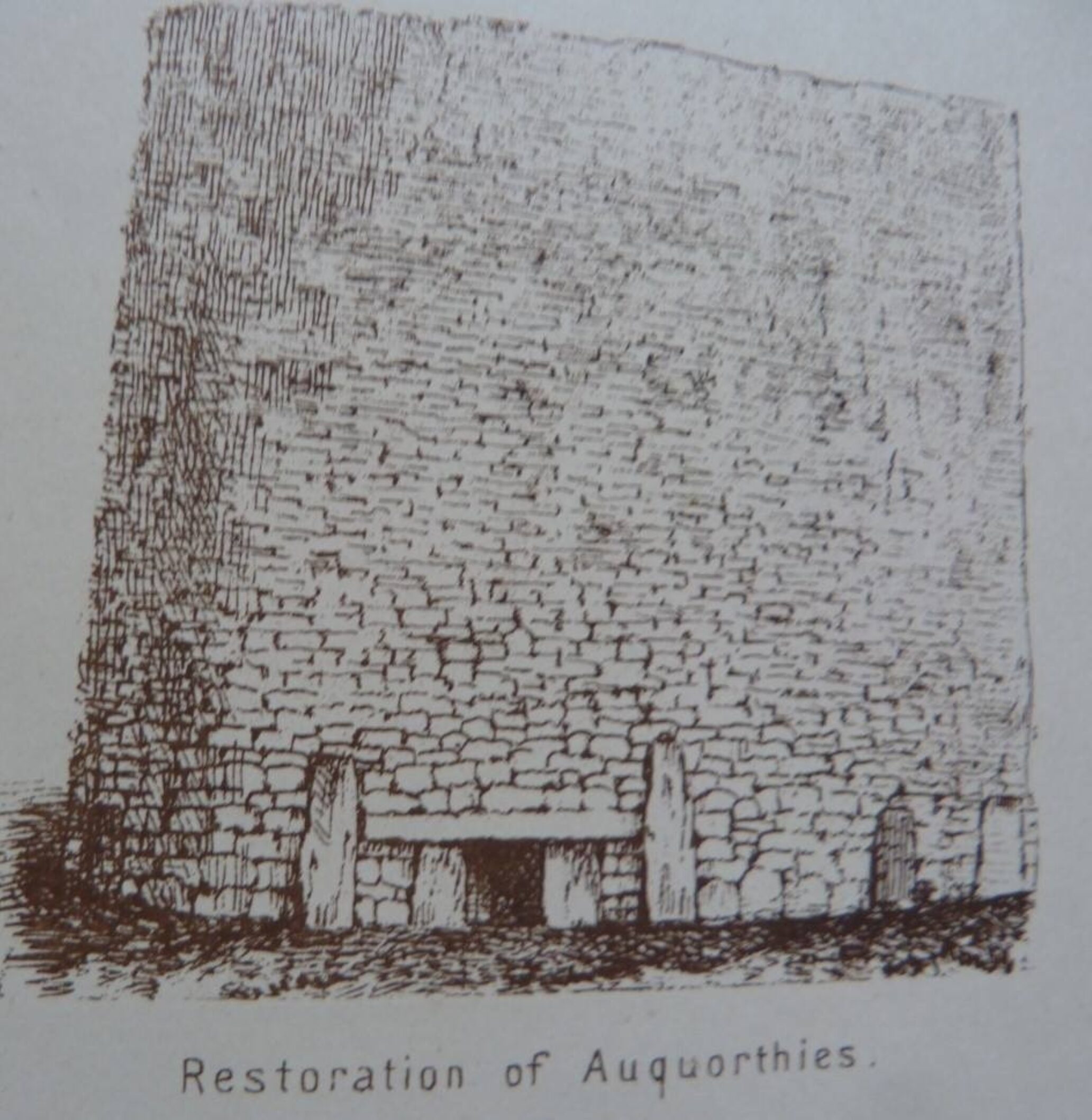 Augor