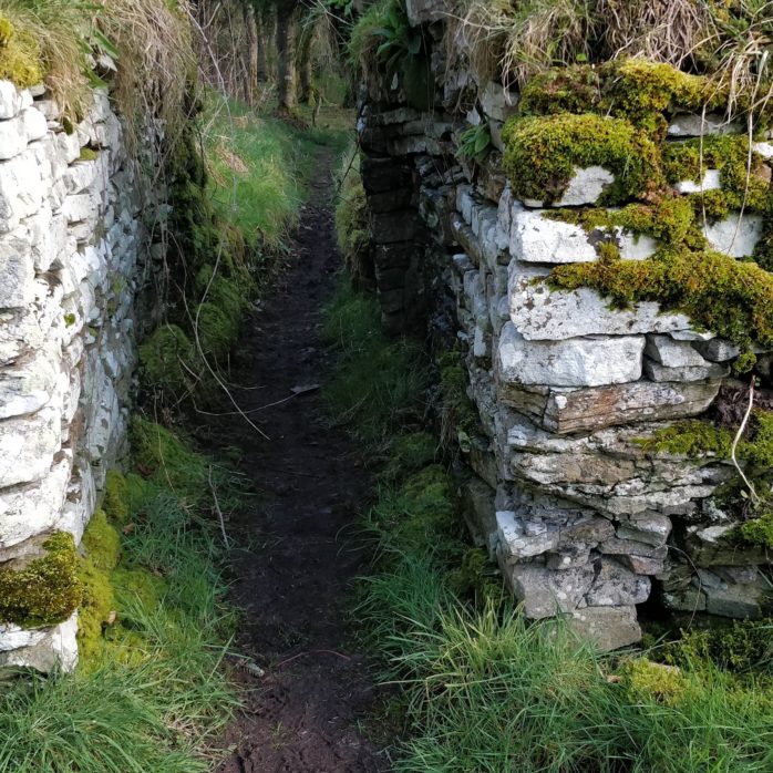 Caithness Broch Project