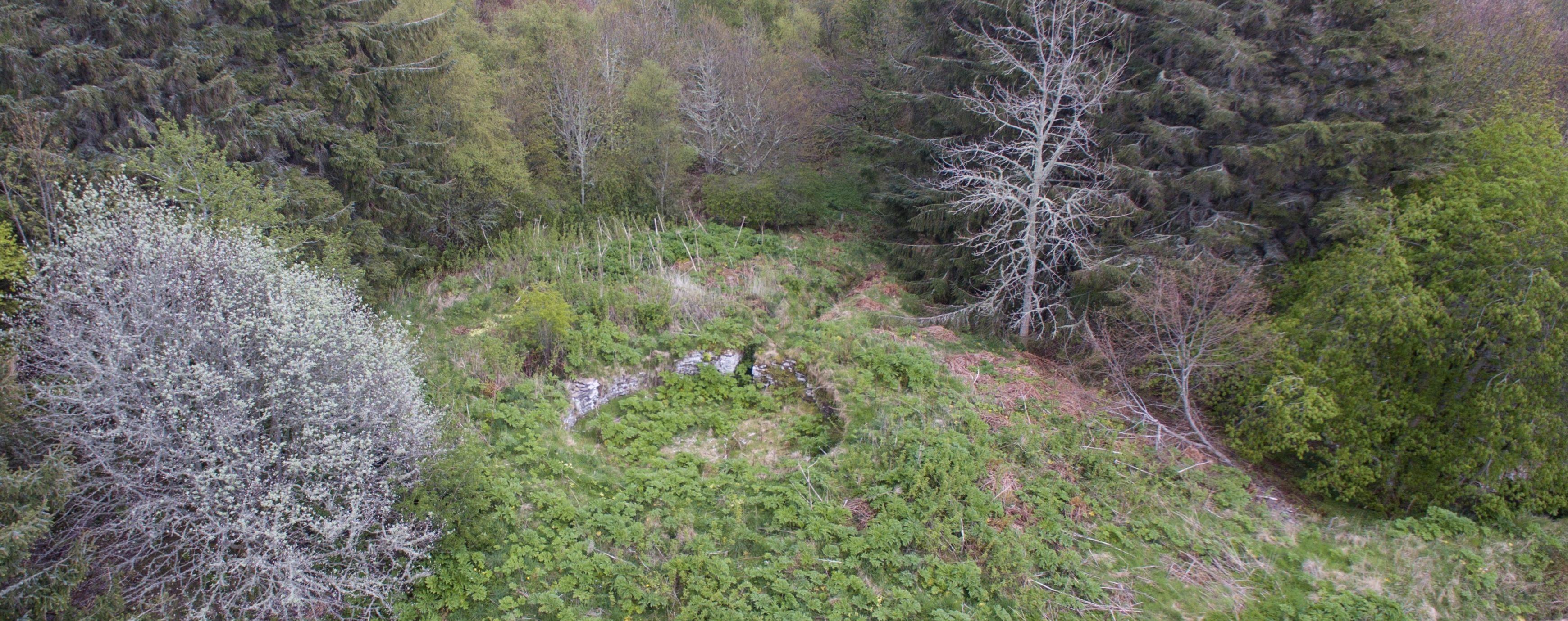 Caithness Broch Project