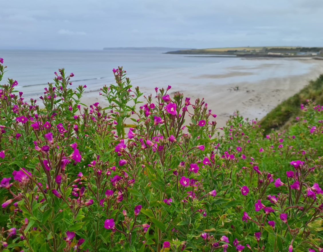 Thurso Beach