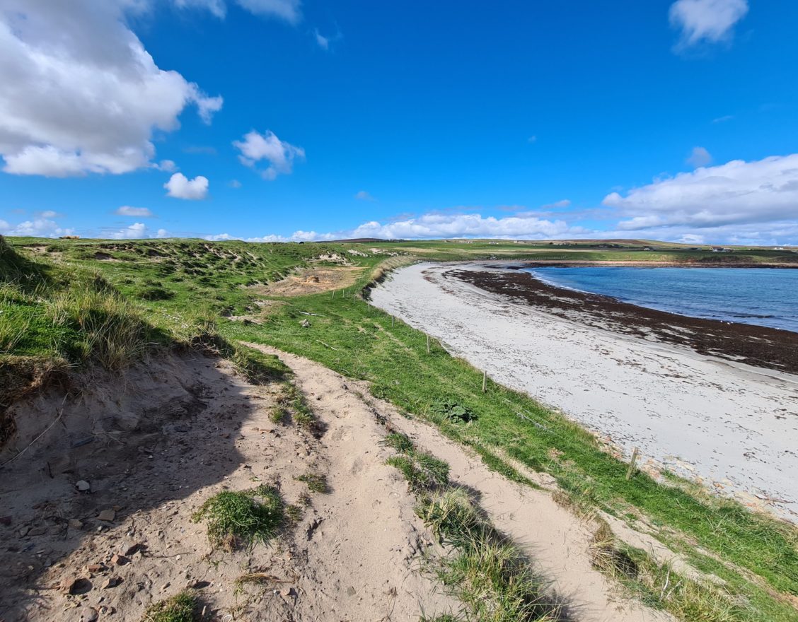 Freswick Beach