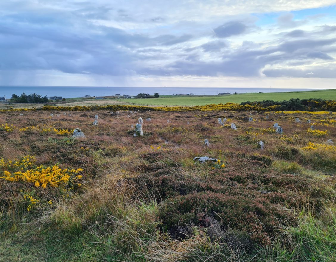 Hill o' Many Stanes