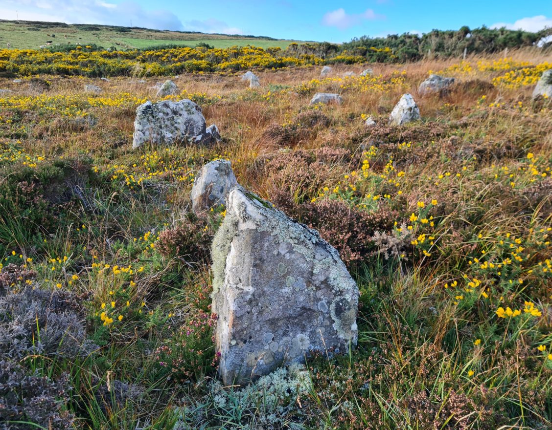 Hill o' Many Stanes