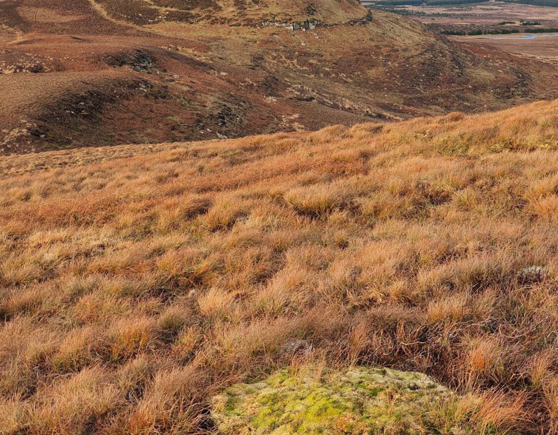Ben Dorrery, Oscar's Fold Hillfort