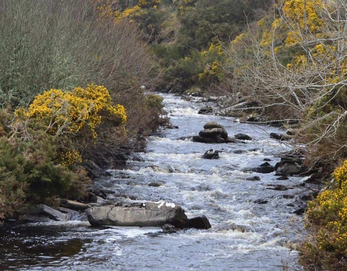 Dunbeath Strath