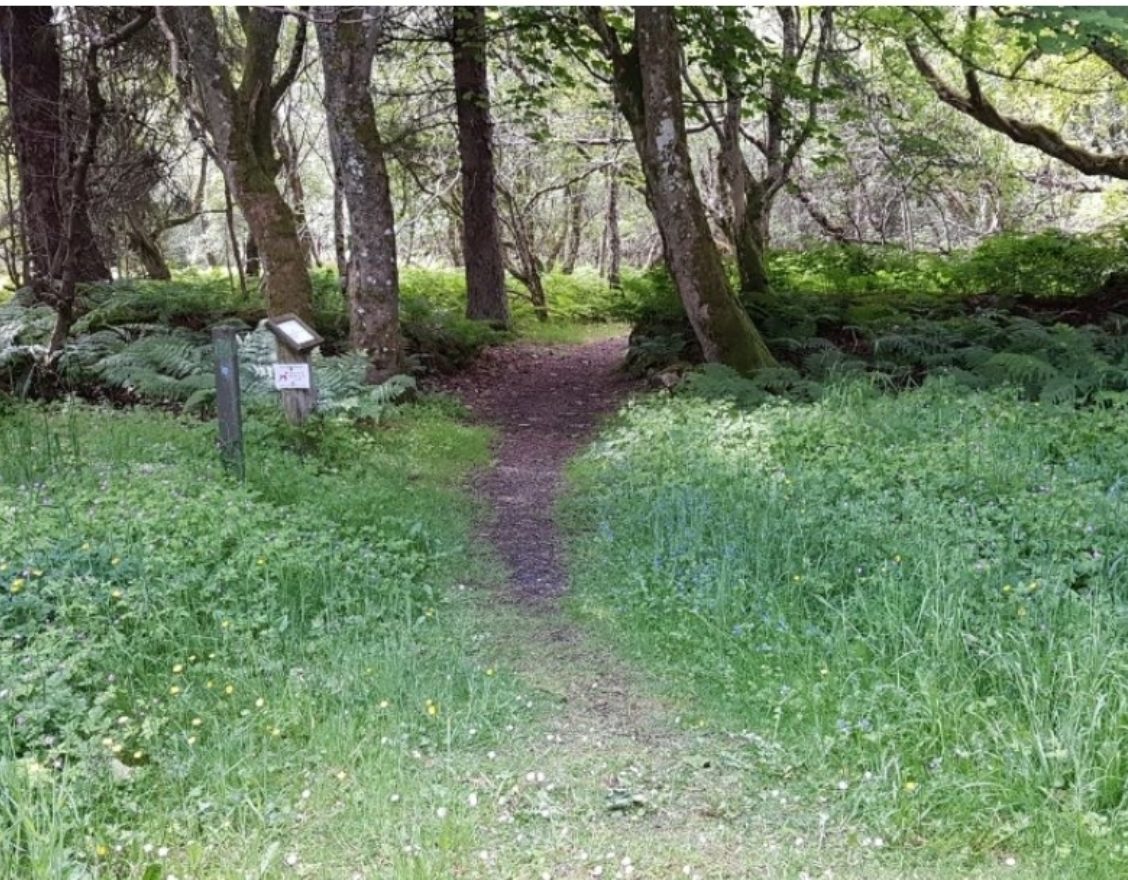 Achvarasdal Woodland Walk