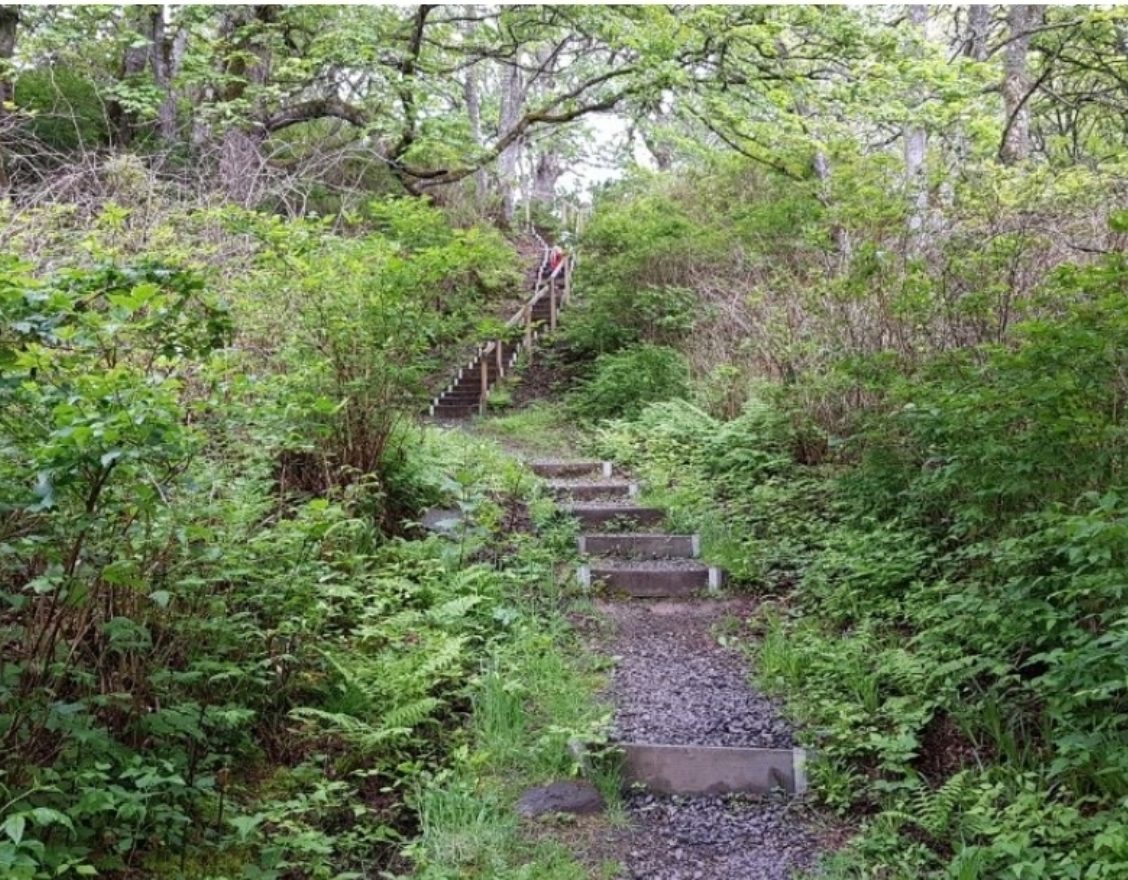Latheronwheel Fairy Walk