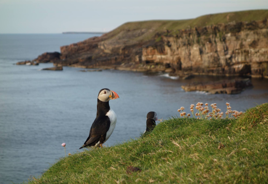 Caithness Tour Itinerary Day Five